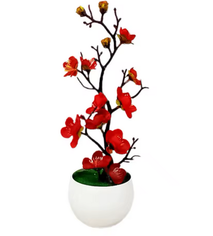 Bonsaï d'intérieur