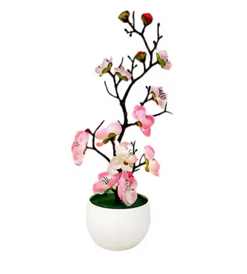 Bonsaï d'intérieur